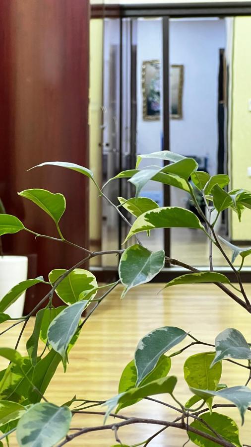 Hayot Hostel طشقند المظهر الخارجي الصورة